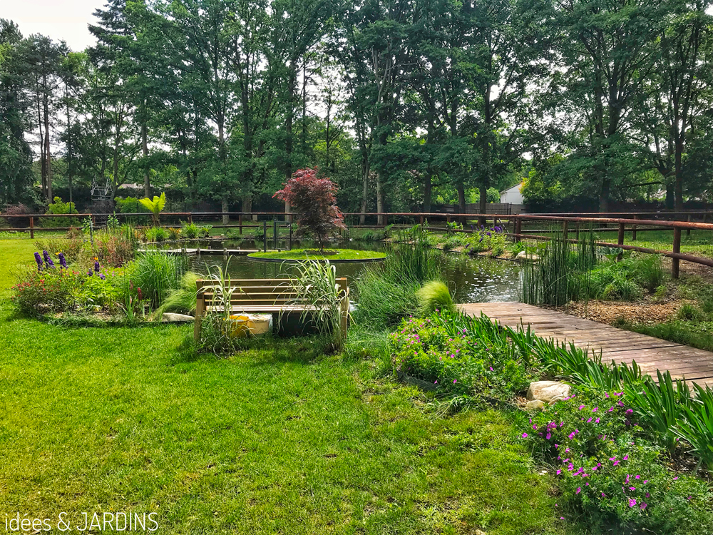 bassin-travaux-apres