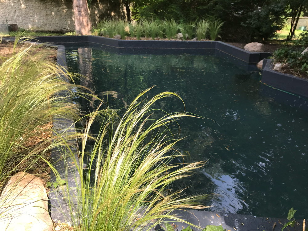 travaux-jardin-before